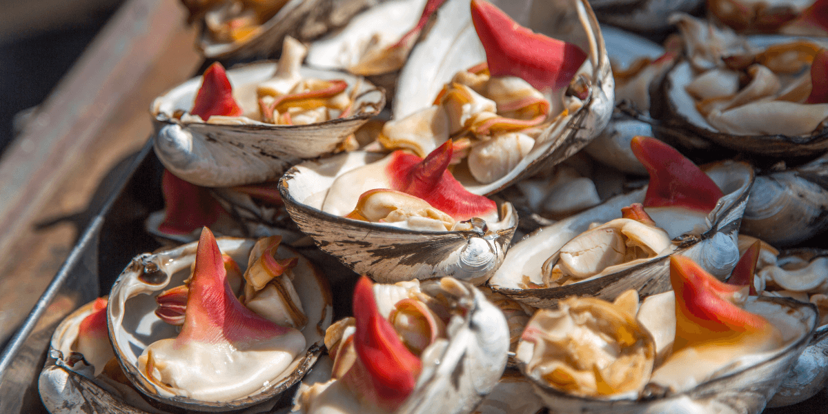 Fresh Seafood Clams.png